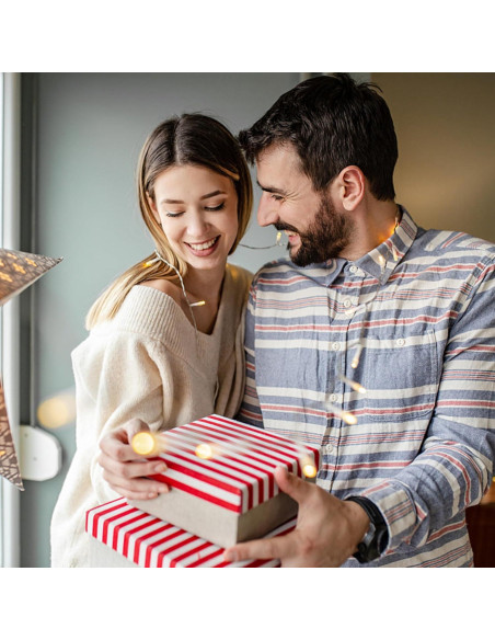 Rodillo Abdominal Pafal con Soporte para Codos y Rebote Automático