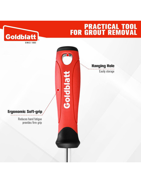 Herramienta Eliminación Lechada Goldblatt con Punta Carburo