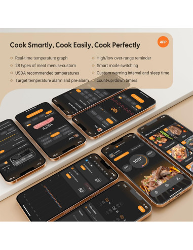 Termómetro de Carne Inalámbrico Inkbird WiFi 2 Sondas