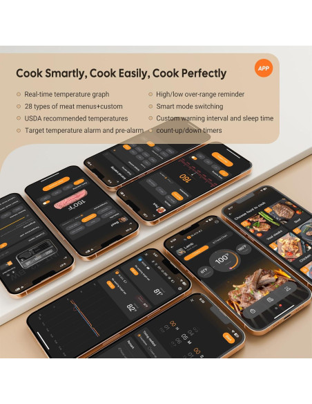 Termómetro de Carne Inalámbrico Inkbird WiFi 2 Sondas