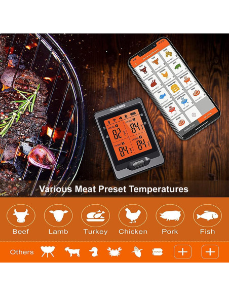 Termómetro Digital de Carne Cloud BBQ FS66N Bluetooth 152m
