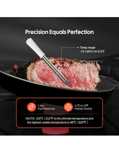 Termómetro de Carne Inkbird Mini Bluetooth 1000ft IP67