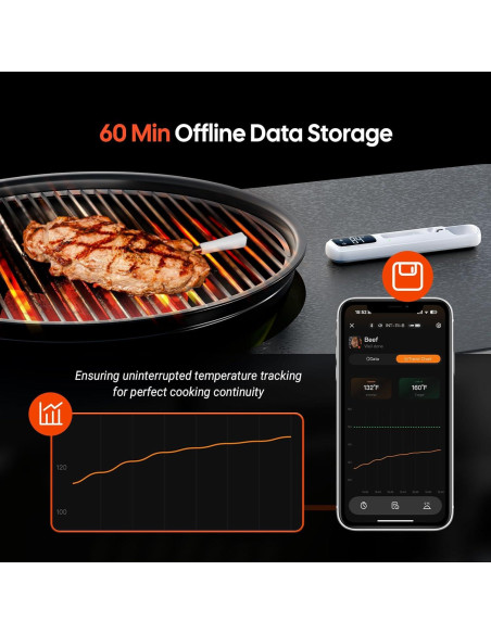 Termómetro de Carne Inkbird Mini Bluetooth 1000ft IP67