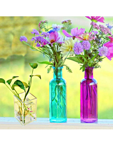 Soporte de Lápiz Acrílico Transparente Cerpourt 2 Unidades