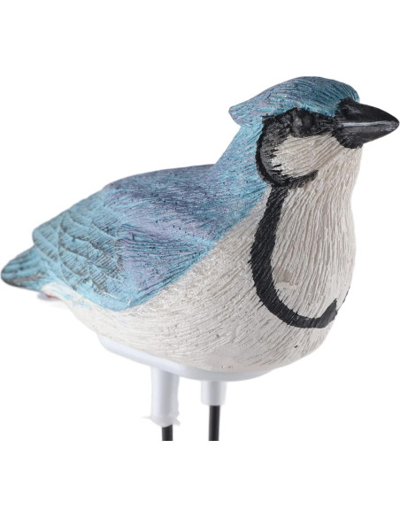 Alarma de Riego GOWENIC Sensor de Suelo 8.63x17.53cm