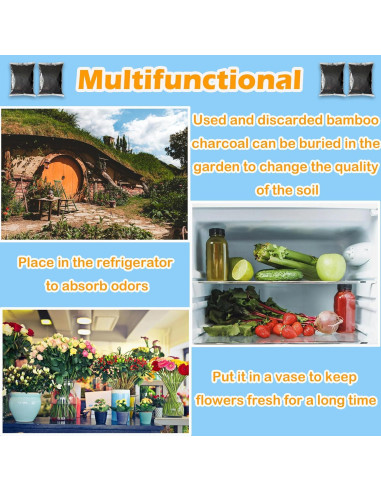 Recarga Filtro Absorbente Olores 1.47 kg TeurWone