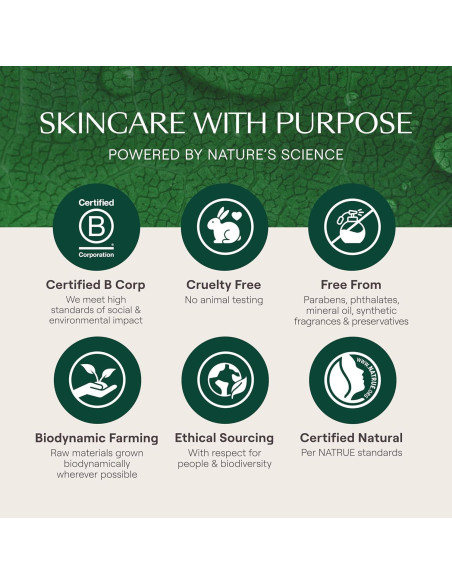 Crema Nutritiva de Noche Weleda Skin Food 38.6 ml Hidratante