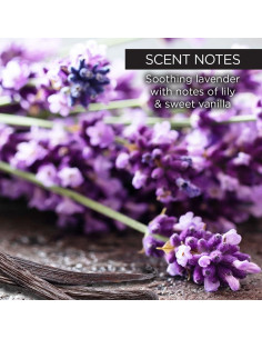 Gel de Baño Whish Beauty 384 ml - Hidratante Lavanda Piel Sensible 2