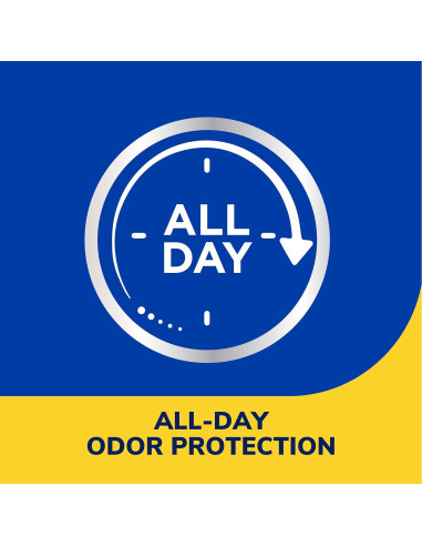 Spray en Polvo Ultra Anti-Olor Dr. Scholl's 133 g