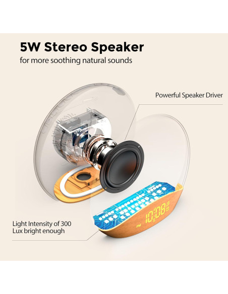 Reloj Despertador HOUSBAY con Luz de Amanecer y Sonidos Reloj Despertador HOUSBAY con Luz de Amanecer y Sonidos