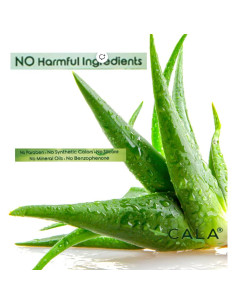 Gel Hidratante y Calmante de Aloe Vera Cala 300 ml 2