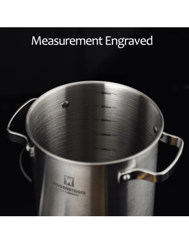 Olla de vapor de acero inoxidable BOTEM 4.3L con cesta