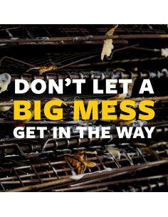 Kit Mango de Platos Scotch-Brite + 8 Recargas Alta Dureza 2