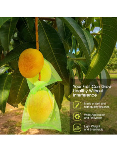 Bolsas de Protección de Frutas RIFNY 100 Pcs 15x20 cm Verde 2