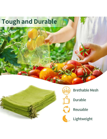 50 Bolsas de Protección para Frutas NIUBIER 19x29 cm Verde
