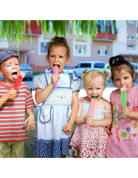 Moldes de Paletas de Silicona LHJJJL - 6 Piezas Multicolor