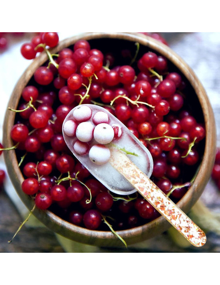 Palitos de Acrílico Reutilizables Geiserailie 40 Piezas 11.4 cm Dorado