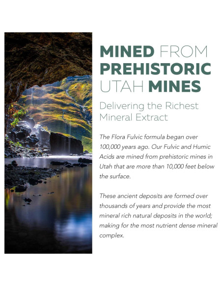 Flora Fulvic | Suplemento de Ácido Fulvico 550 mg | 60 Cápsulas