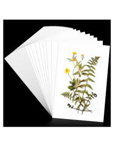 30 Hojas Papel Absorbente A4 para Prensar Flores Meanplan