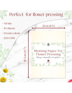Papel Absorbente para Prensado de Flores Berstuk A4 10 Hojas 2