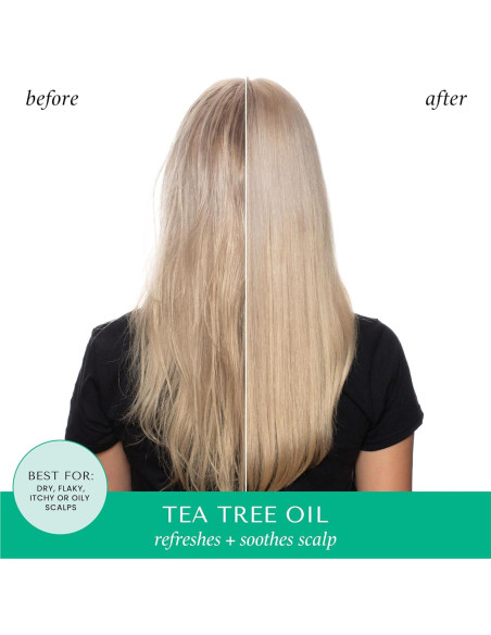 Champú y Acondicionador HASK Árbol de Té y Romero 226g