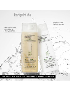 GIOVANNI Champú y Acondicionador Árbol de Té 2x250ml 2