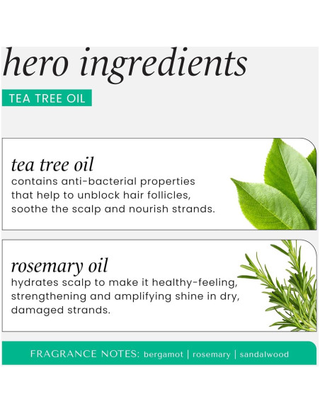 Champú y Acondicionador HASK Árbol de Té y Romero 226g