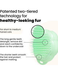 Cepillo Desenredador para Gatos Pet Teezer Verde 8x5 cm 2