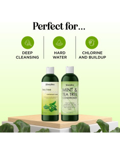 Champú y Acondicionador para Nadadores Honeydew 450g 2