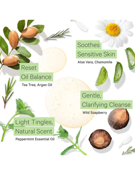 Champú Aclarador Tree to Tub 500ml para Cabello Graso