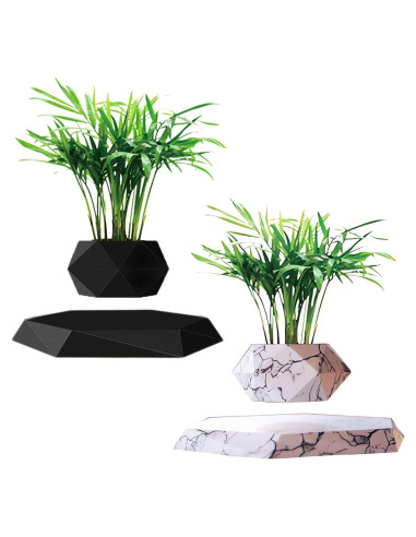 Paquete de 2 Macetas Flotantes Ronsoile para Bonsai