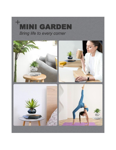 Paquete de 2 Macetas Flotantes Ronsoile para Bonsai