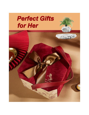 Paquete de 2 Macetas Flotantes Ronsoile para Bonsai