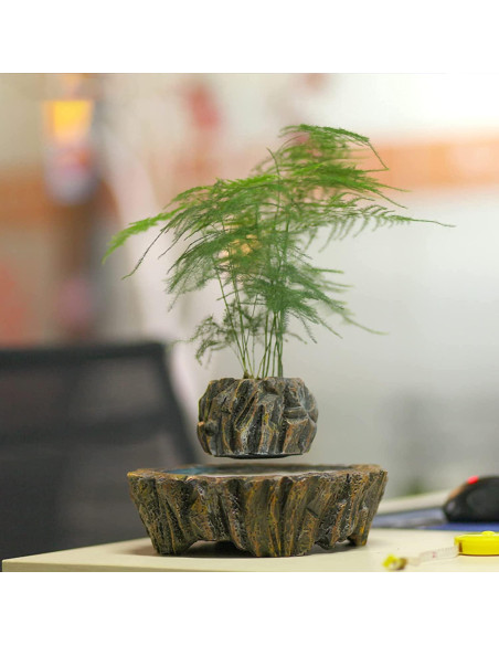 Maceta Flotante Magnética WLDOCA 300g Bonsai Decorativa Maceta Flotante Magnética WLDOCA 300g Bonsai Decorativa