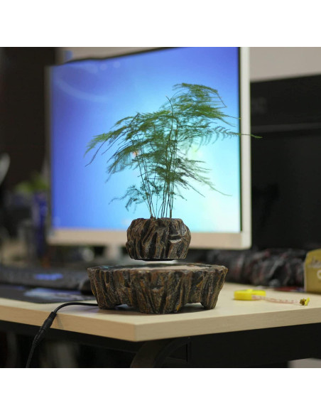 Maceta Flotante Magnética WLDOCA 300g Bonsai Decorativa Maceta Flotante Magnética WLDOCA 300g Bonsai Decorativa