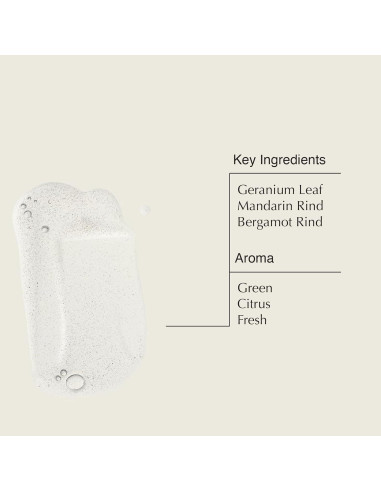 Aesop Jabón de Manos y Limpiador Corporal 500mL Juego de 2