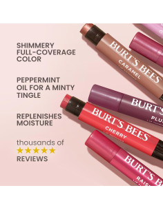 Brillo Labial Burt's Bees Colección Rosa 3 Tubos 2,54 g 2