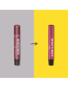Set de Brillo Labial Higo Burt's Bees - Hidratante 4 Piezas 2