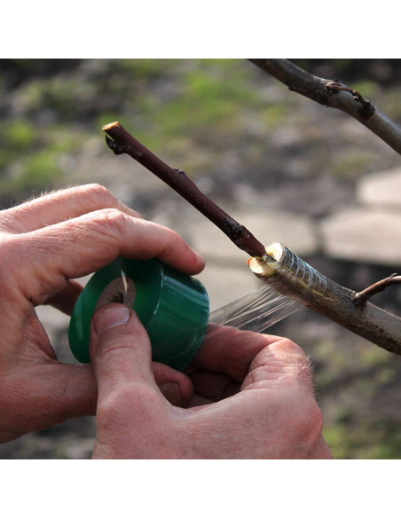 Cinta de Injerto HAINANSTRY 2 PCS 3 cm x 100 m Verde