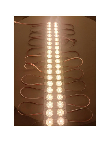 Módulos LED Blanco Cálido 3000K 1.2W Impermeable - 100 Piezas