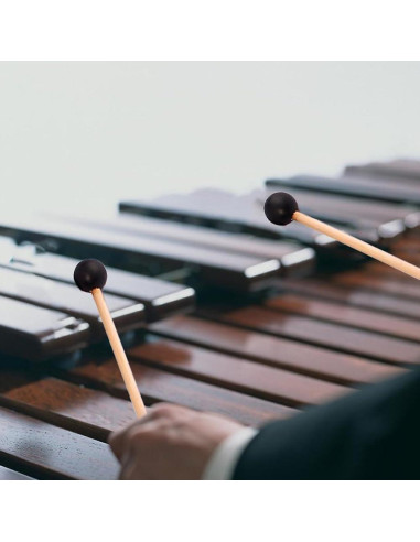 Mallets de Percusión de Goma 2 Pcs LAN-MC 20,32 cm