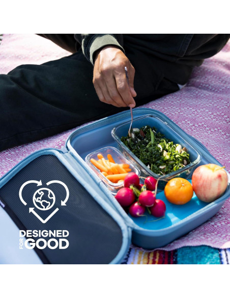 Caja de Almuerzo Aislada Hydro Flask 5 L Negra