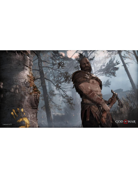 God of War Estándar - PC [Código de Juego Online]