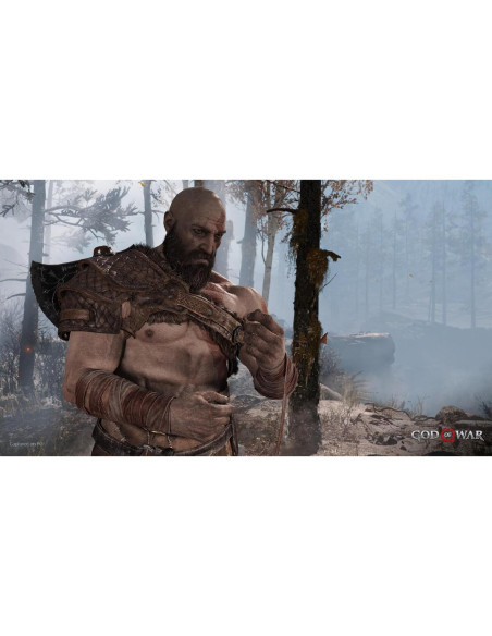 God of War Estándar - PC [Código de Juego Online]