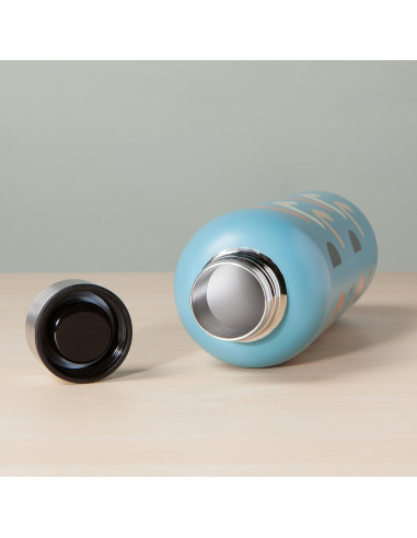 Botella de Agua Inoxidable Danica Studio 500 ml Diseño Echo