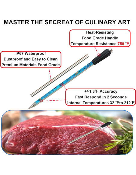 Termómetro de Carne Inalámbrico WADDK JX168 Bluetooth 100-320C