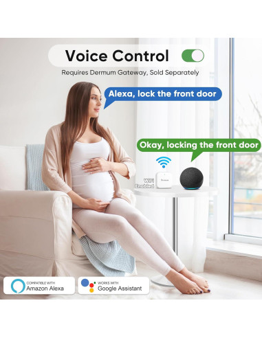 Cerradura Digital Inteligente Dermum S1 Biométrica Plata