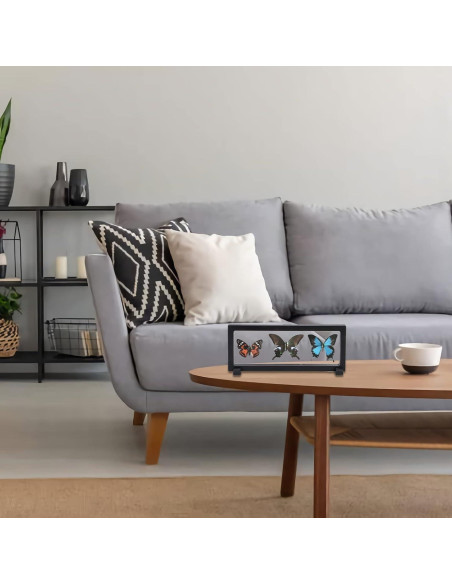 Estuche Flotante 3D Sdoot para Monedas 4 Piezas 22,86x8,89cm