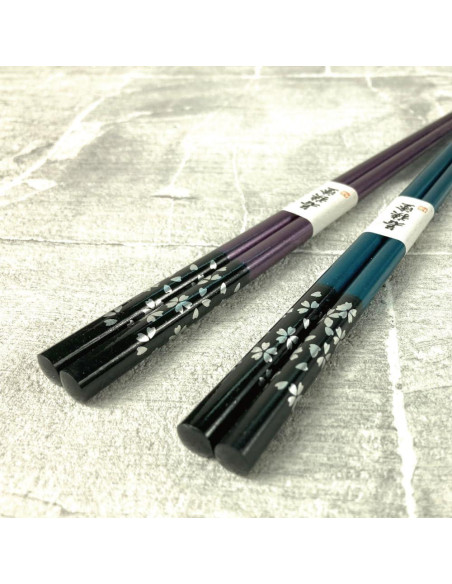 Palillos Japoneses Reutilizables Terra Distribution 23 cm