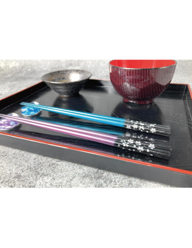 Palillos Japoneses Reutilizables Terra Distribution 23 cm